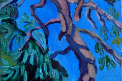DREGER_Blue-Spruce_Oil-on-Canvas